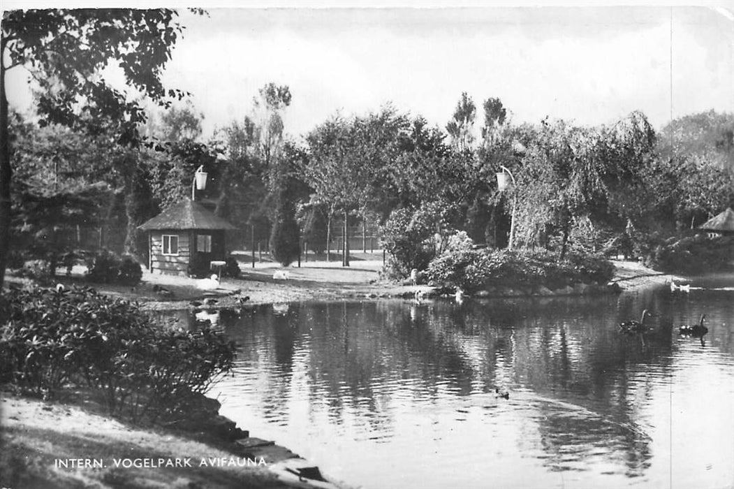 Alphen aan den Rijn Avifauna