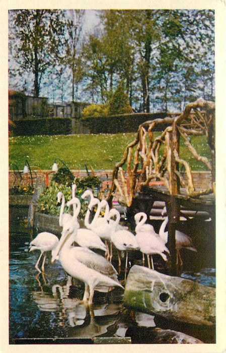 Alphen aan den Rijn Avifauna