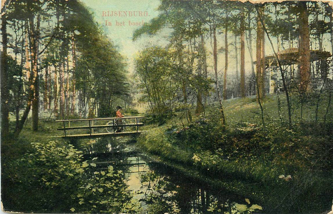 Driebergen-Rijsenburg In het Bosch