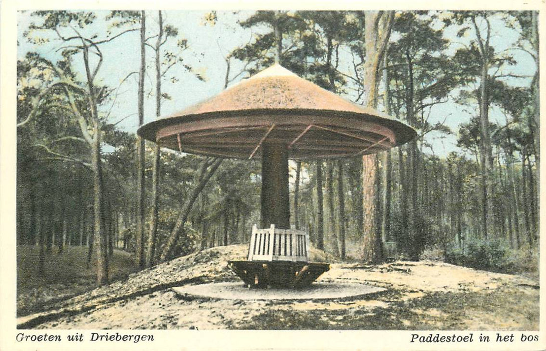 Driebergen-Rijsenburg Paddenstoel