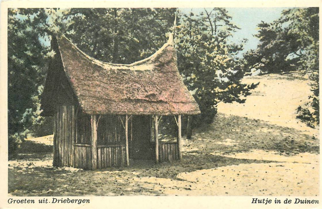 Driebergen-Rijsenburg Hutje in de Duinen