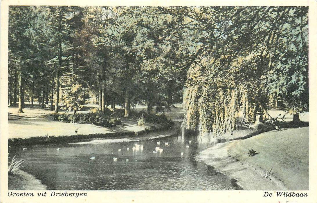 Driebergen-Rijsenburg De Wildbaan