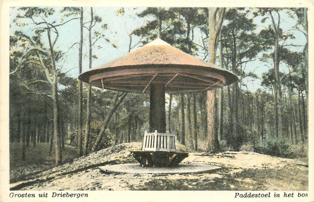 Driebergen-Rijsenburg Paddenstoel