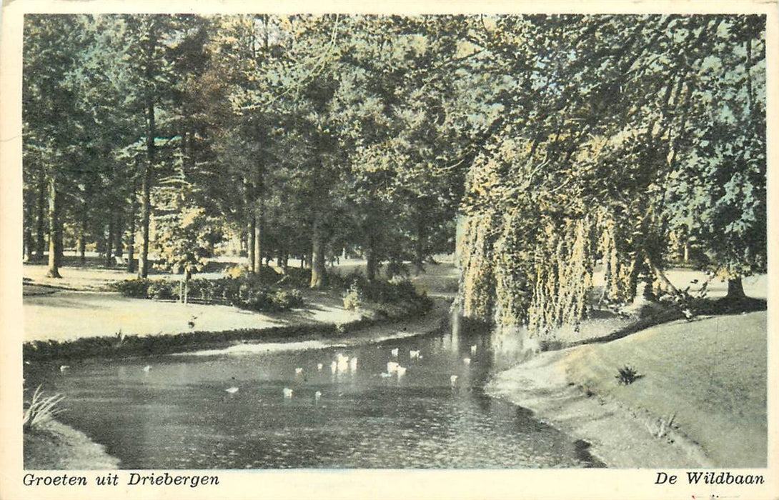 Driebergen-Rijsenburg De Wildbaan