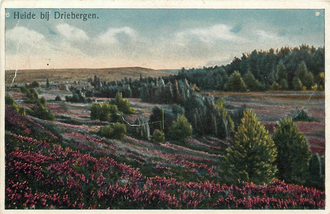 Driebergen-Rijsenburg Heide