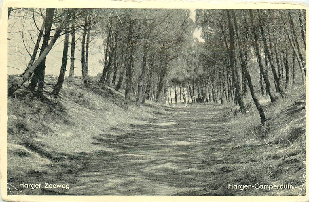 Schoorl Harger Zeeweg