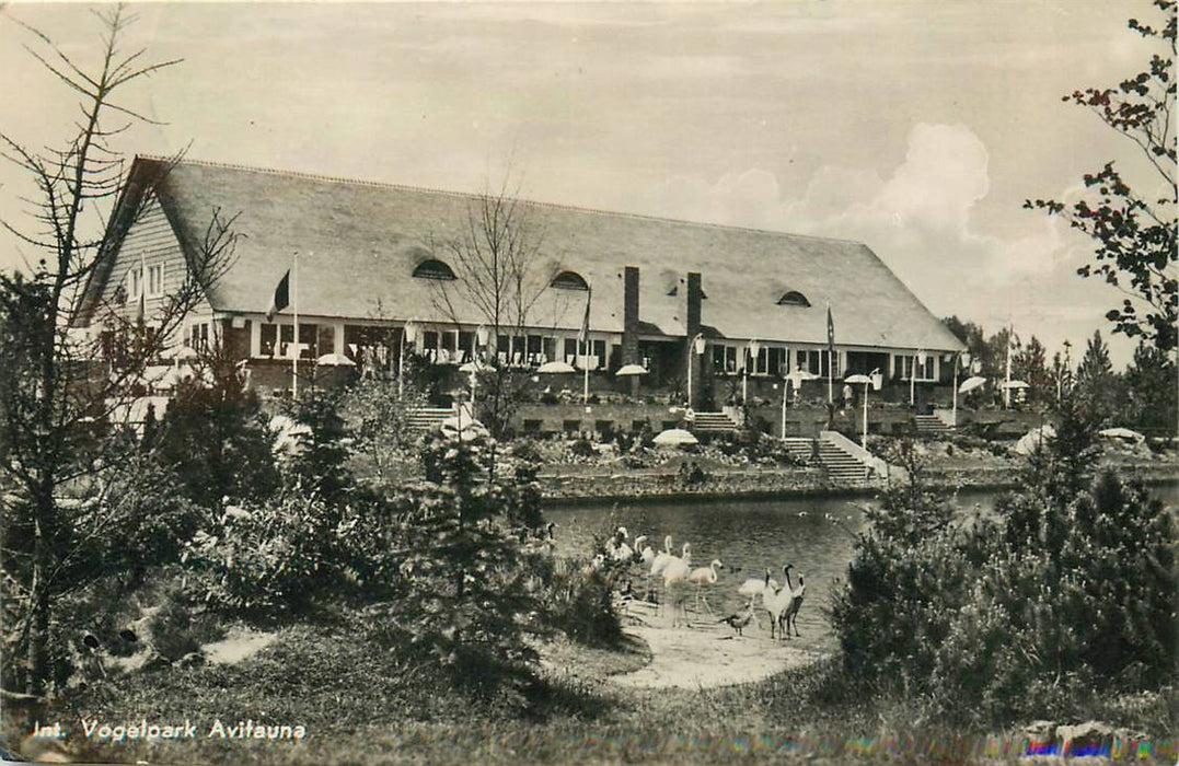 Alphen aan den Rijn Avifauna