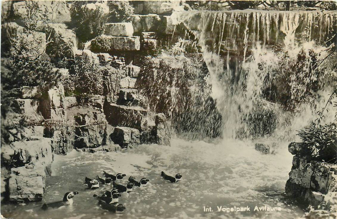 Alphen aan den Rijn Avifauna