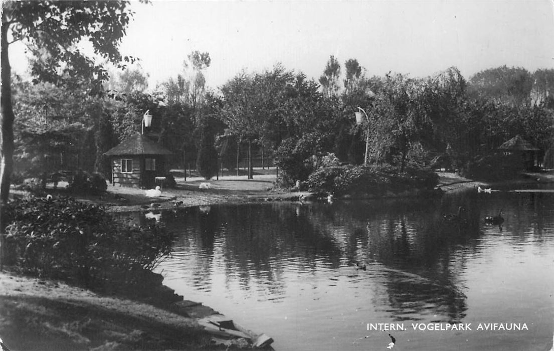 Alphen aan den Rijn Avifauna