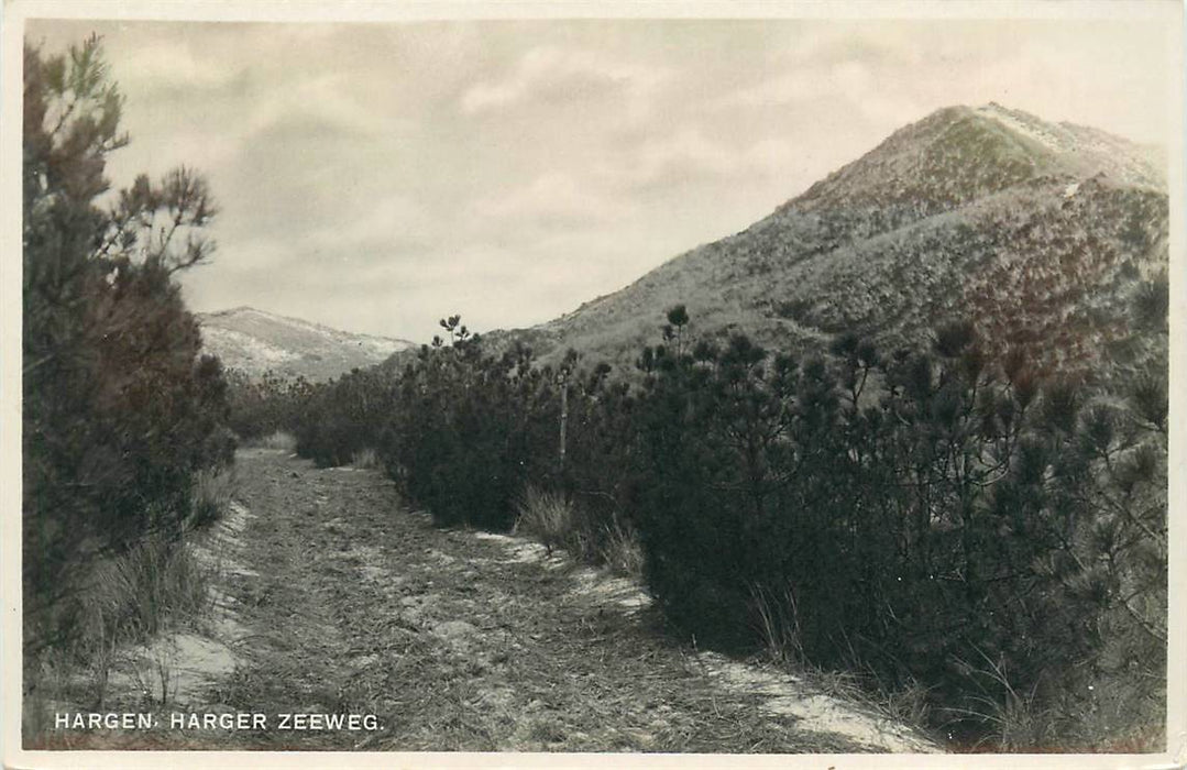 Schoorl Harger Zeeweg