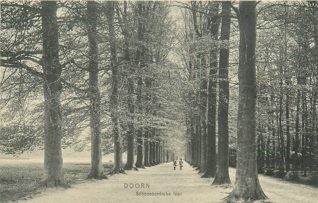 Doorn Schoonoordsche Laan