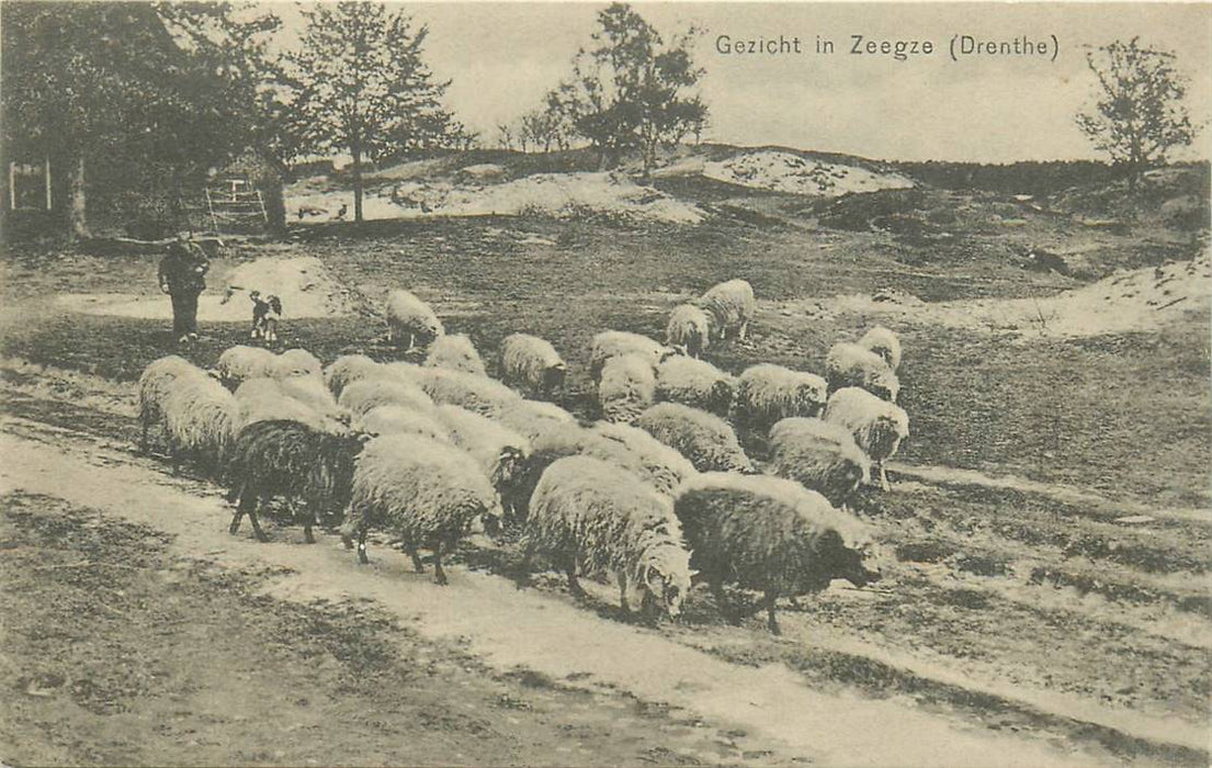 Zeegse