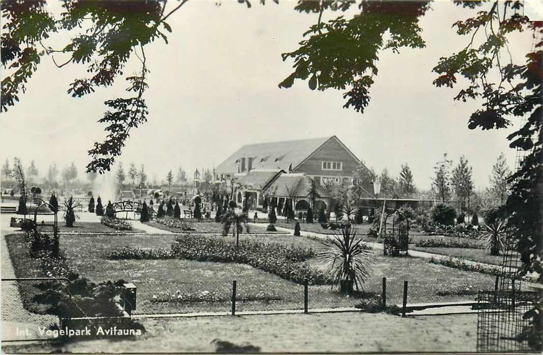 Alphen aan den Rijn Avifauna