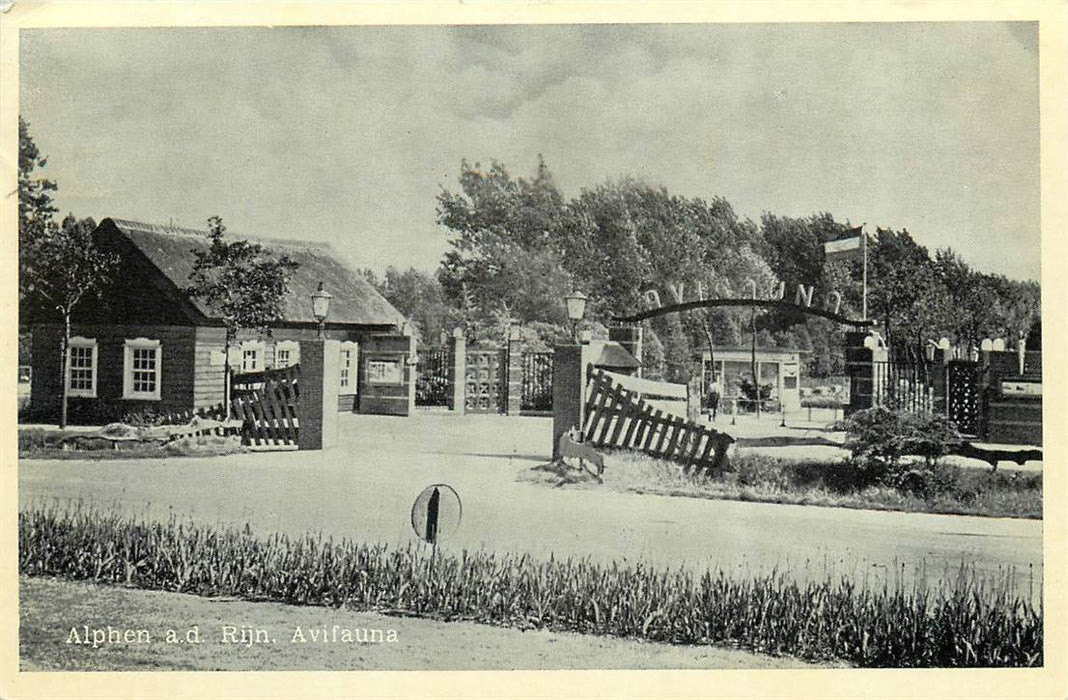 Alphen aan den Rijn Avifauna