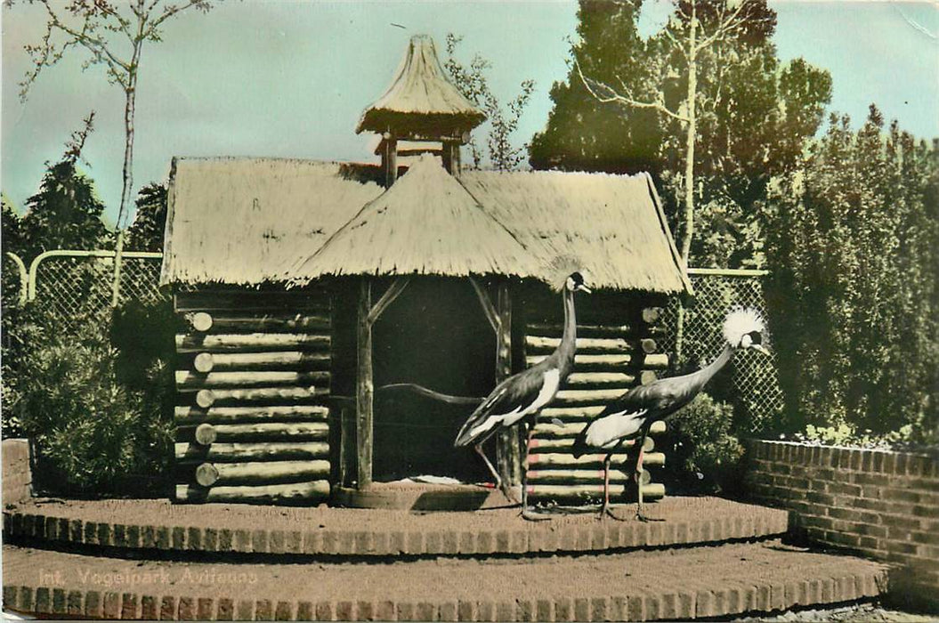 Alphen aan den Rijn Avifauna