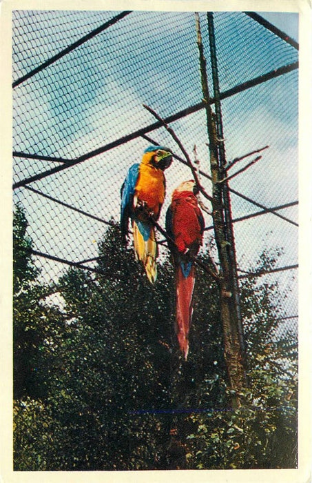 Alphen aan den Rijn Avifauna