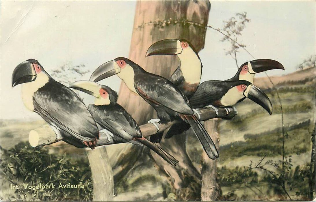 Alphen aan den Rijn Avifauna