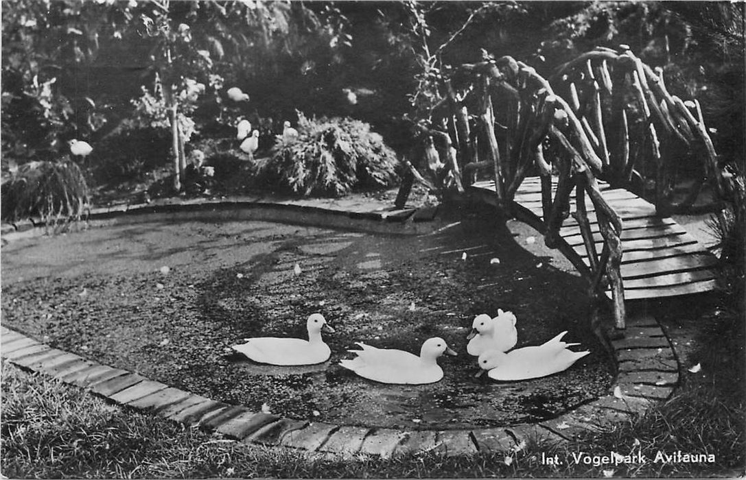 Alphen aan den Rijn Avifauna