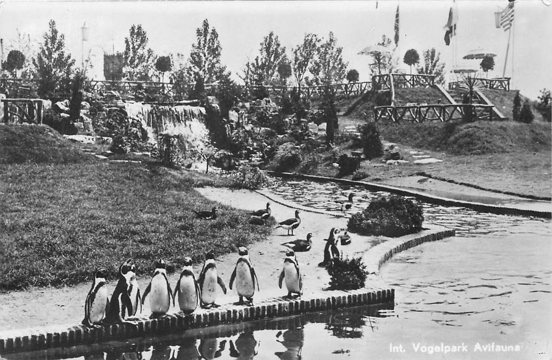 Alphen aan den Rijn Avifauna