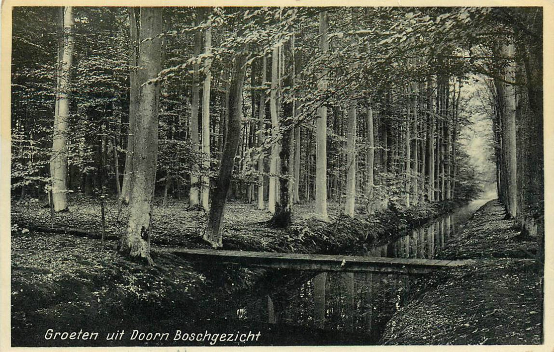 Doorn Boschgezicht