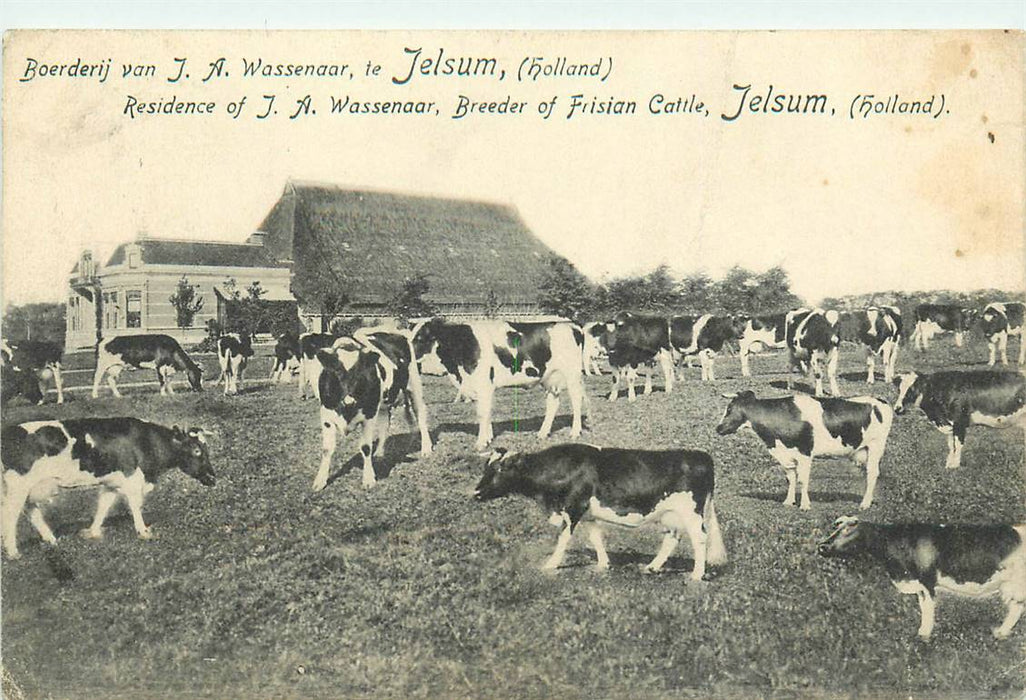 Jelsum Boerderij