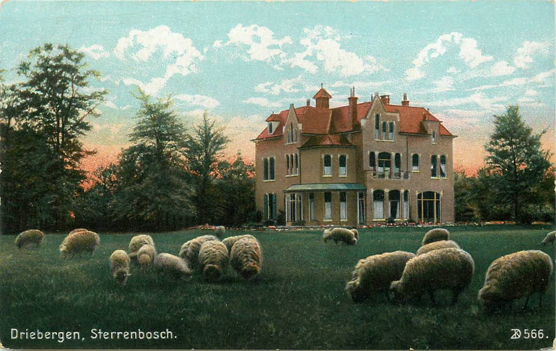 Driebergen-Rijsenburg Sterrenbosch