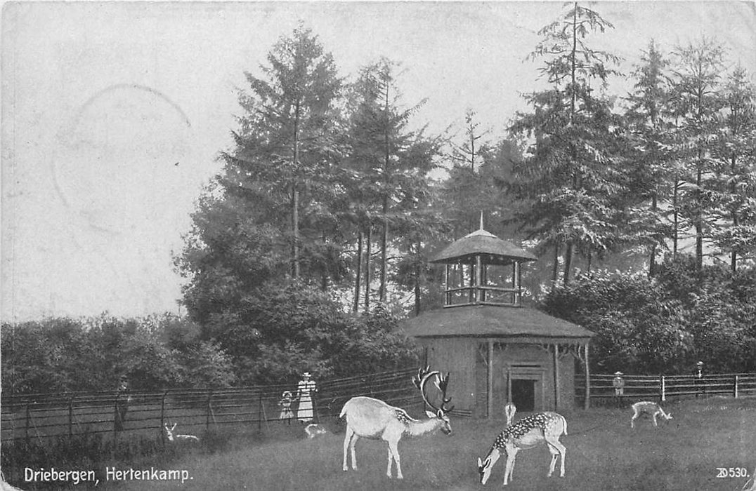 Driebergen-Rijsenburg Hertenkamp