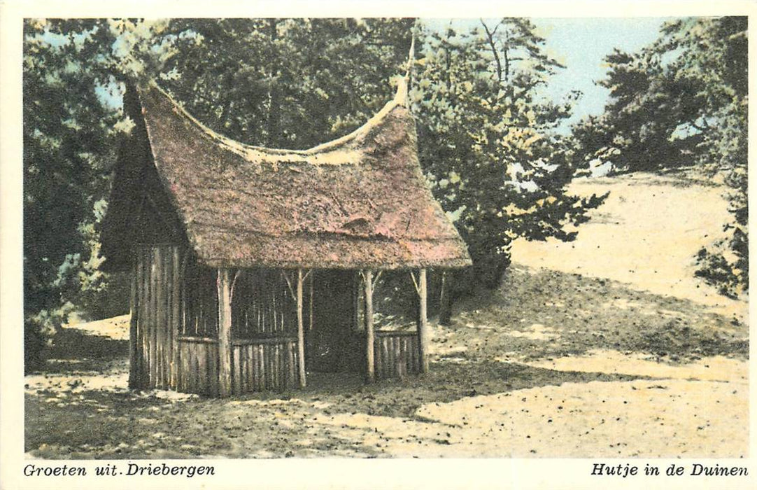 Driebergen-Rijsenburg Hutje in de Duinen