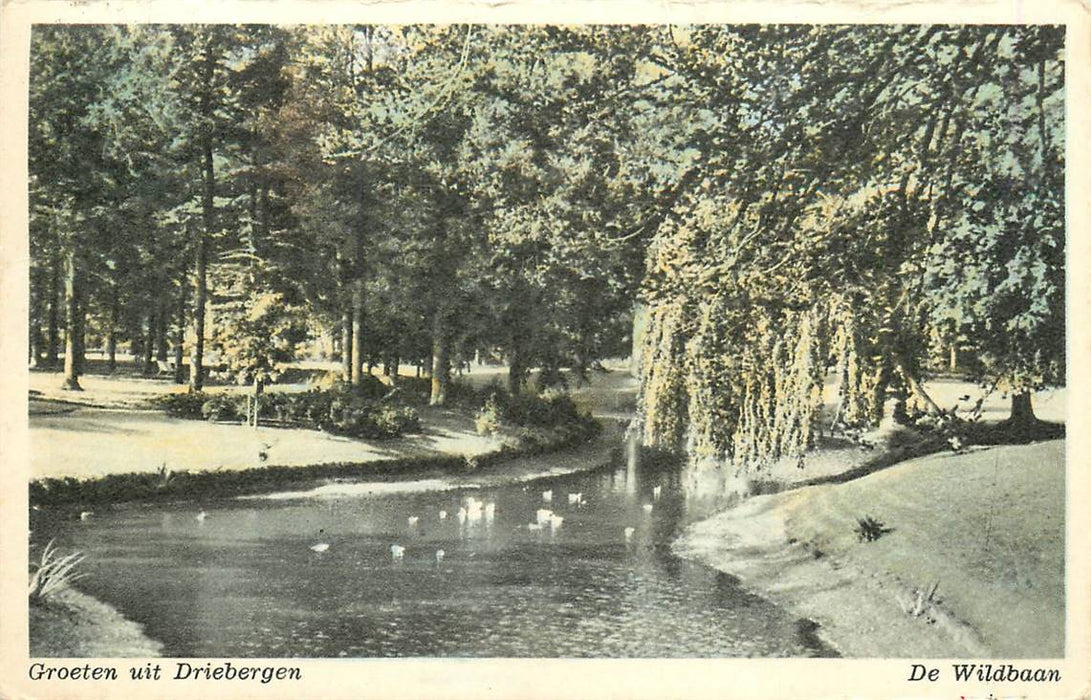 Driebergen-Rijsenburg De Wildbaan