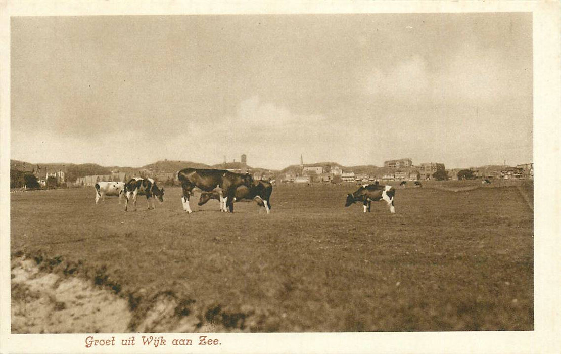 Wijk aan Zee Groet uit