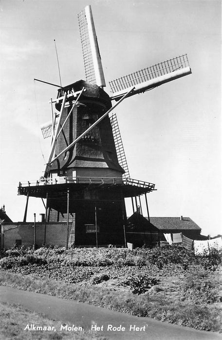 Alkmaar Molen Het Rode Hert