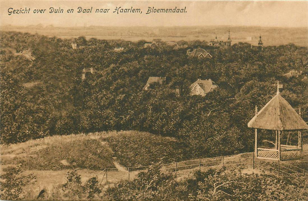 Bloemendaal Gezicht over Duin en Daal