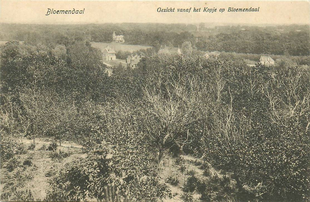 Bloemendaal Gezicht vanaf het Kopje op Bloemendaal