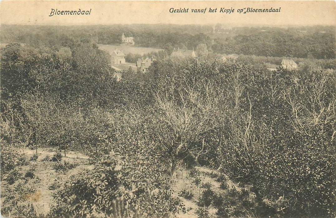 Bloemendaal Gezicht vanaf het Kopje op Bloemendaal