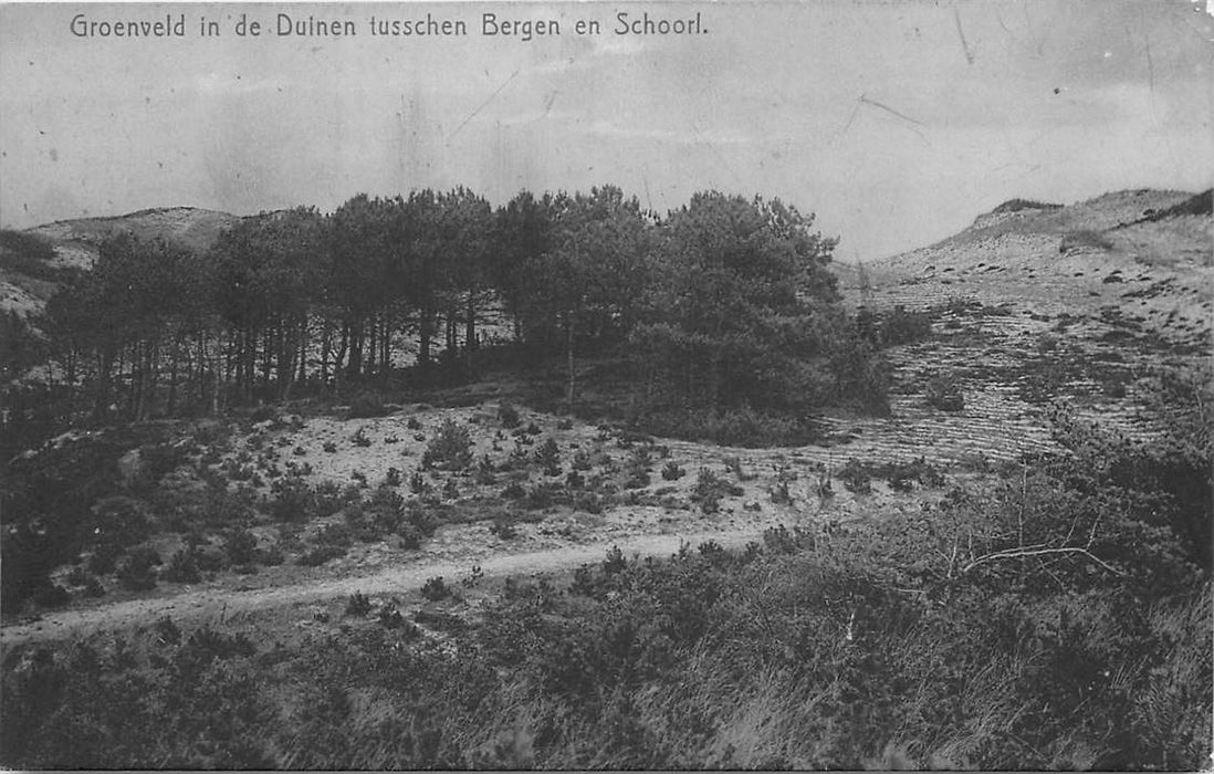 Bergen (NH) Groenveld in de Duinen