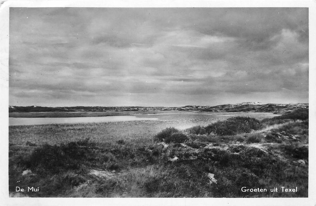 Texel De Mui