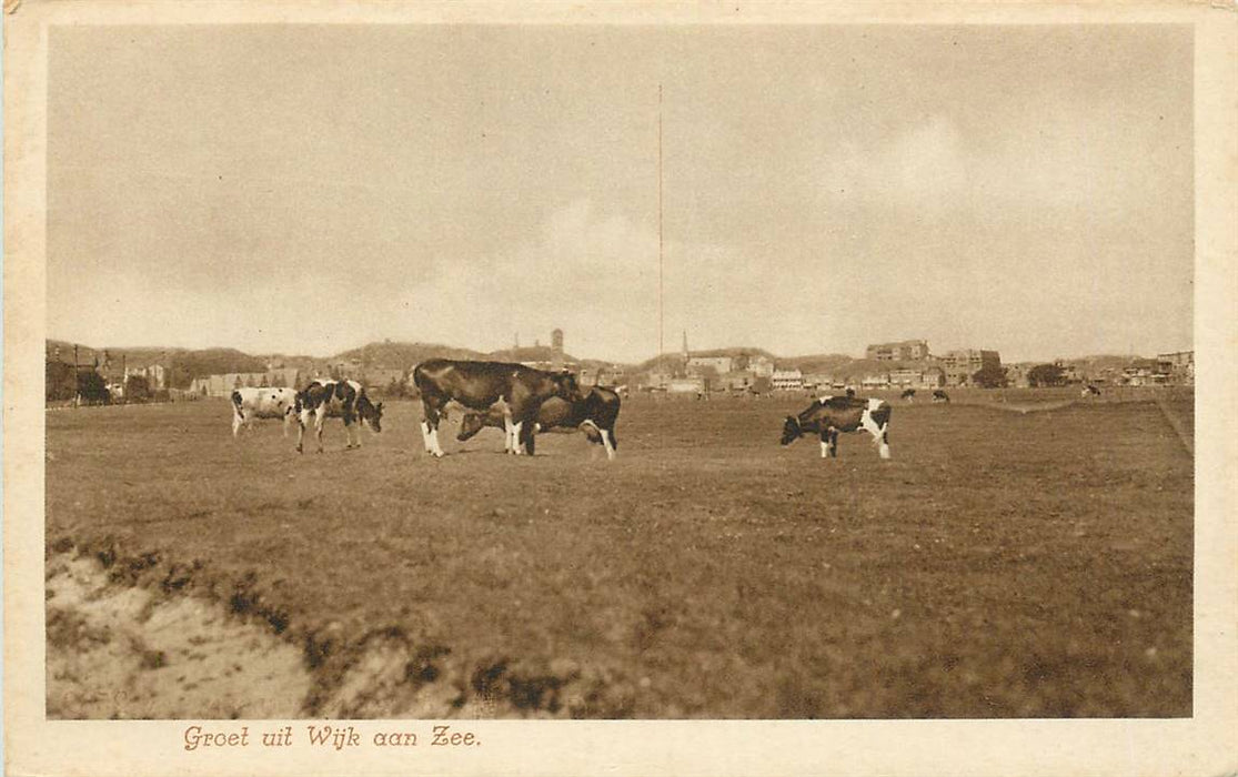 Wijk aan Zee Groet uit