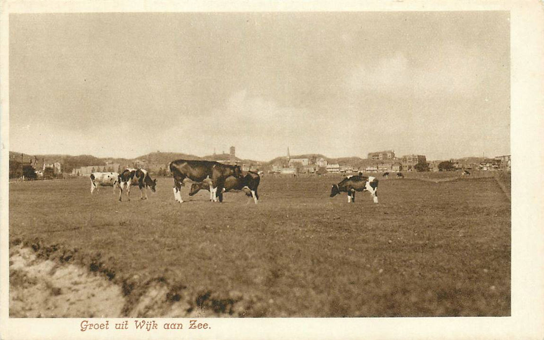 Wijk aan Zee Groet uit