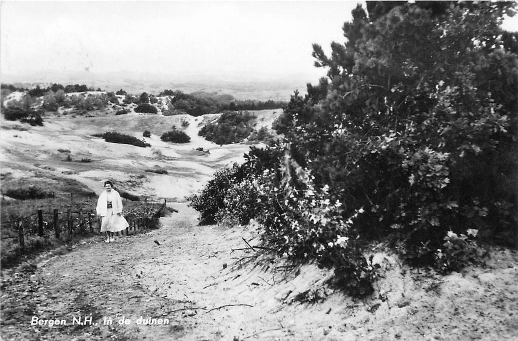 Bergen (NH) In de duinen