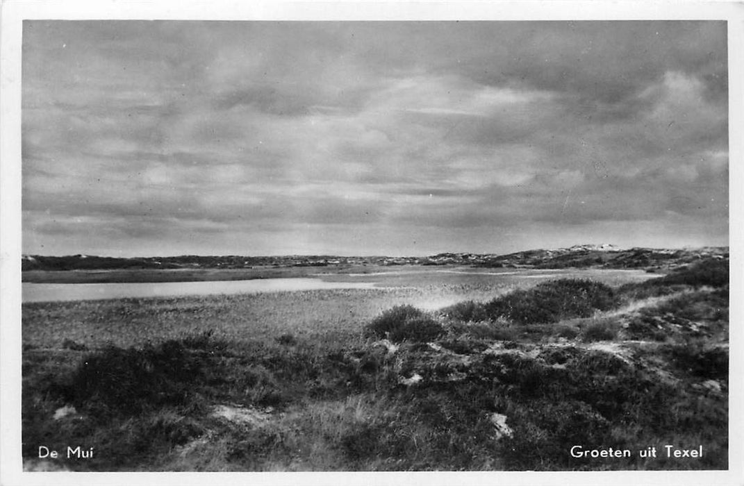 Texel De Mui