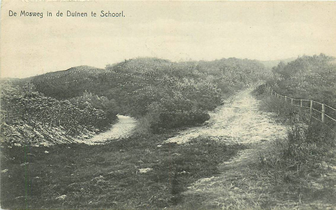 Schoorl De Mosweg in de Duinen