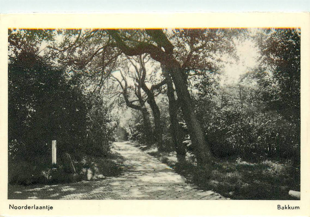Bakkum Noorderlaantje