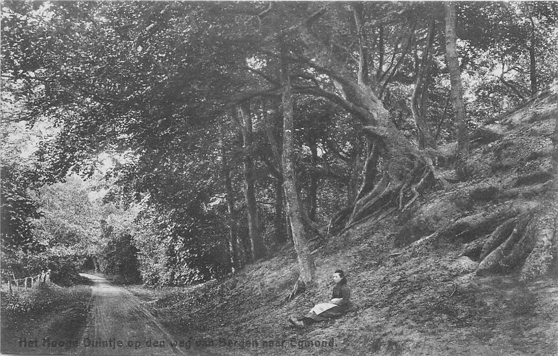 Bergen (NH) Het Hooge Duintje