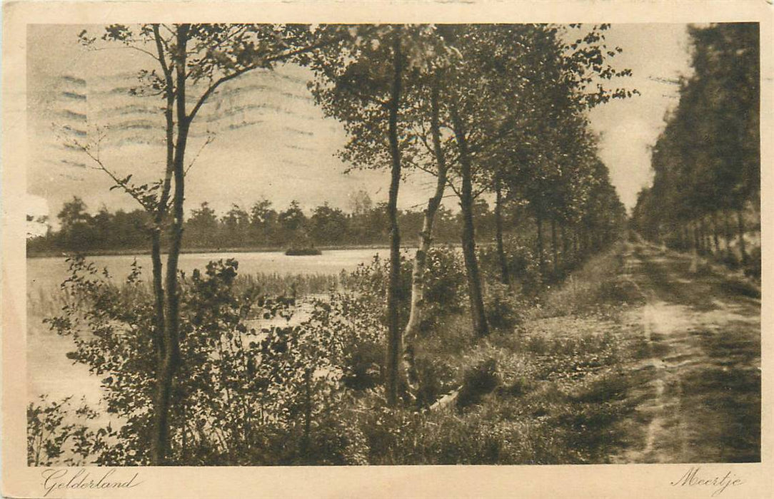 Gelderland Meertje