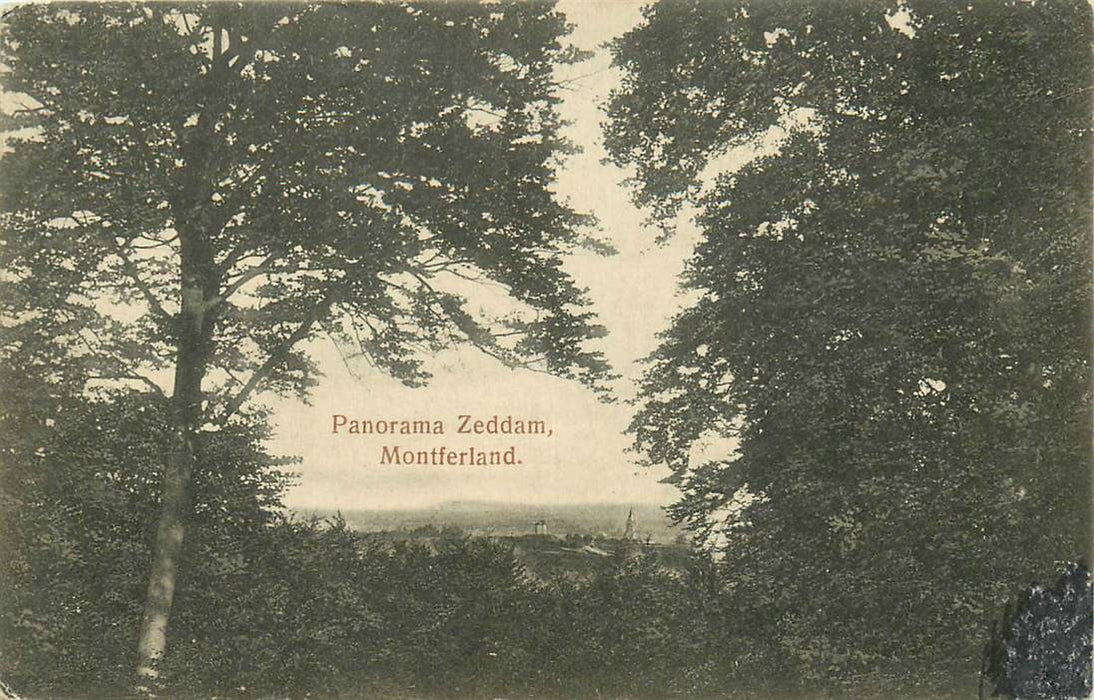 Zeddam Panorama