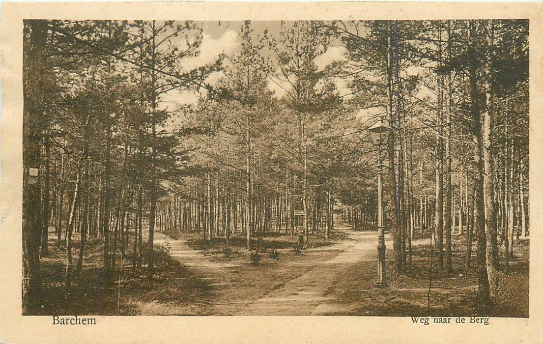 Barchem Weg naar de Berg