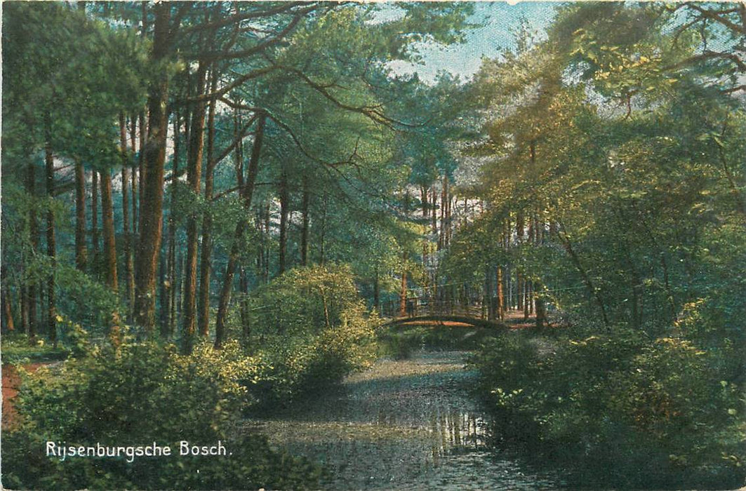 Driebergen-Rijsenburg Bosch