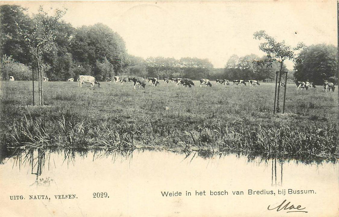 Bussum Bosch van Bredius