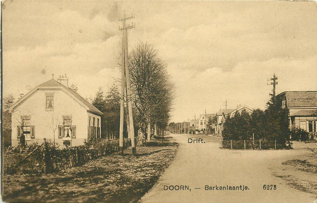 Doorn Berkenlaantje