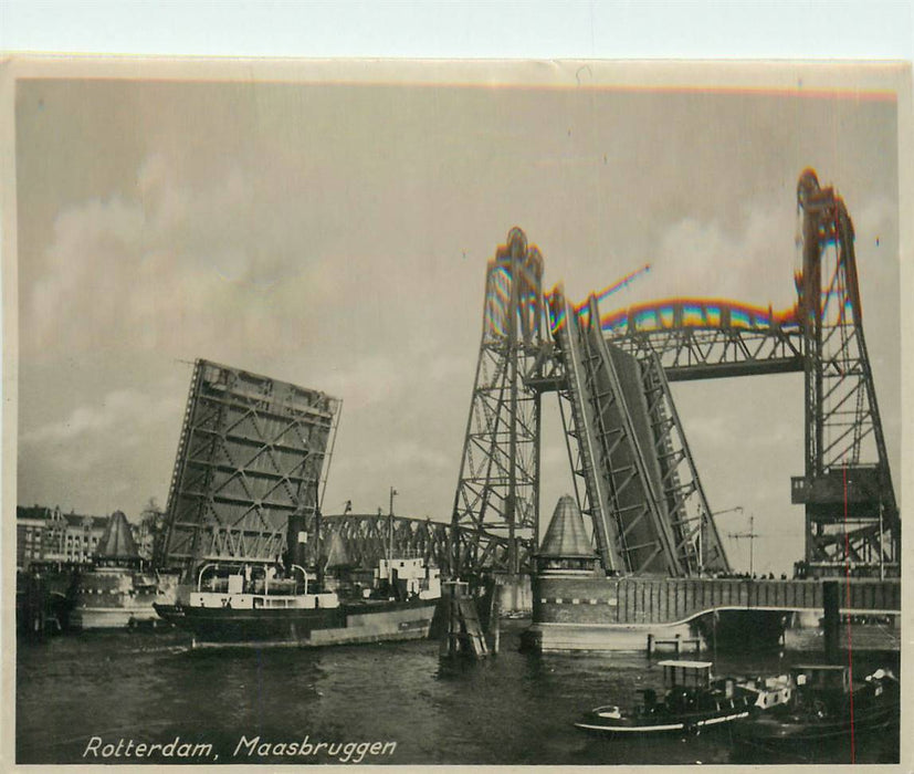 Rotterdam Maasbruggen